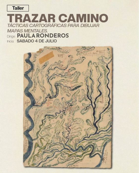Trazar camino 1bajas